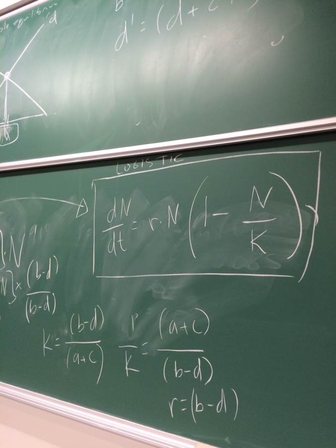 I also teach with chalk, as I find that's a great way to make the classroom more active, for everyone.