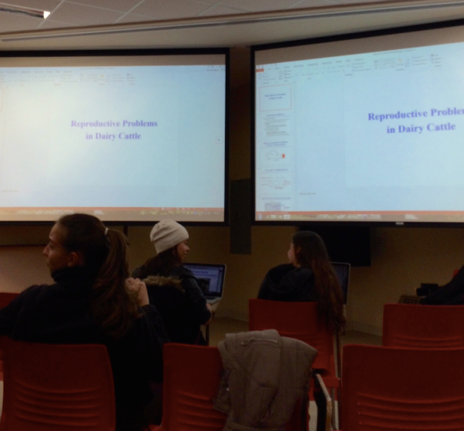 The view from my seat in the lecture hall.