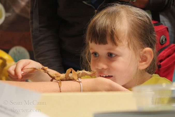 Bug shows: keeping kids exciting about arthropods. Photo by Sean McCann.
