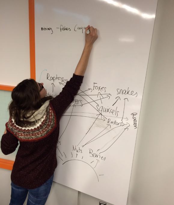 Students using the whiteboard to make food-webs.