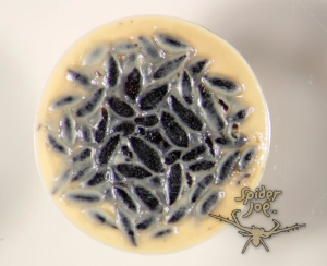 Spider poop