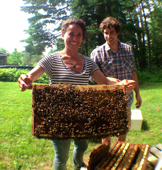 Bees!