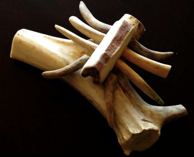Inuit carving of an arthropod (a spider, in my opinion!)