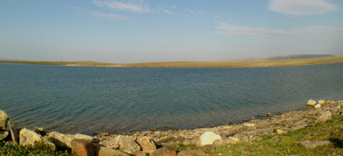 Mt Pelly
