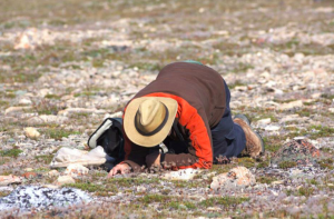 #EntoYoga (photo by J. Wagner)