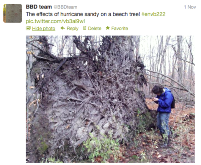 A tweet from one of last year's groups.