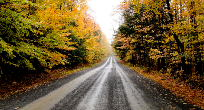 A country road, 10 minutes from where I live. 
