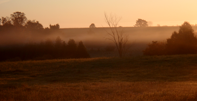 Early morning at my in-laws place in Ontario (no filter)