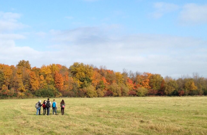 Some McGill students walking to their study sites during my Field Biology class.