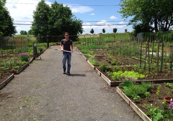 Field work!