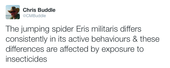 Raph's thesis, in a tweet.