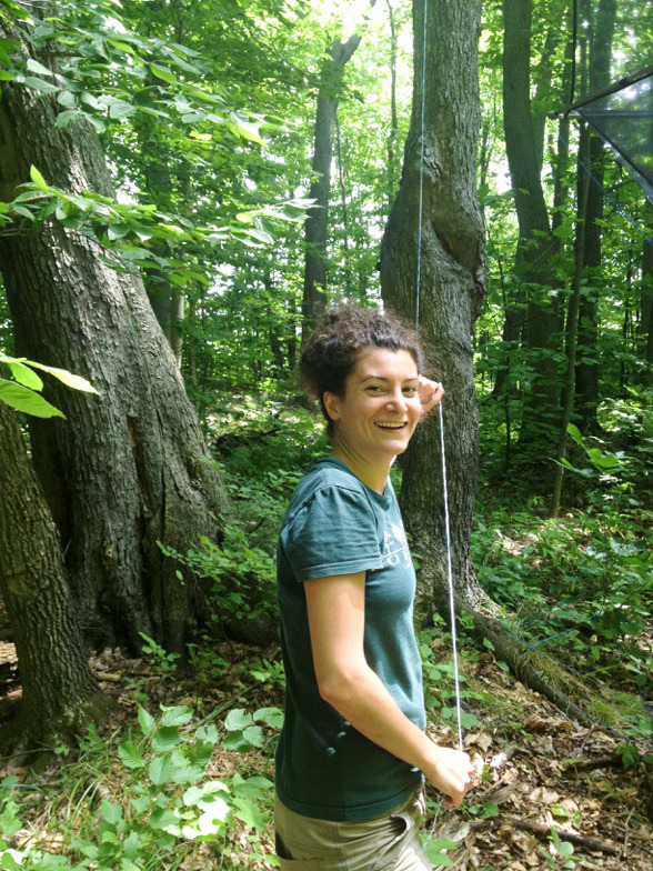 Dorothy Maguire, working in a forest fragment.