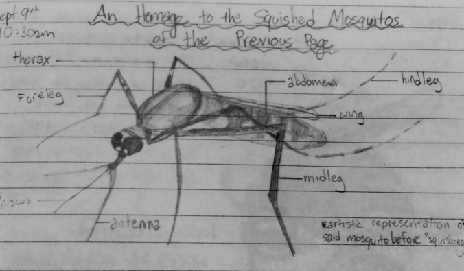 Mosquito