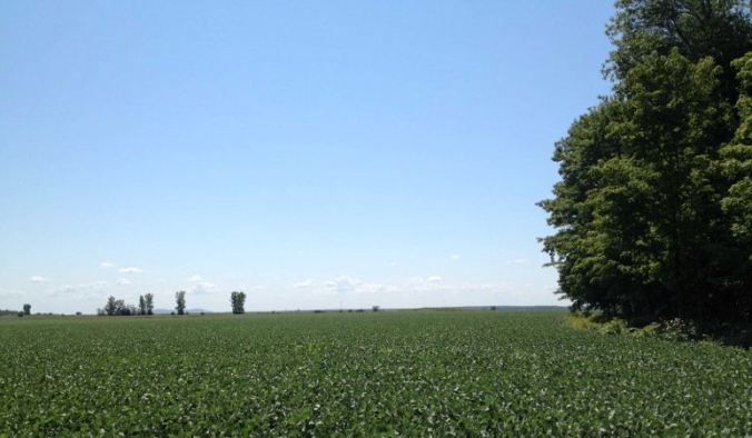 QuebecLandscape