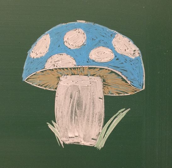 Mushroom