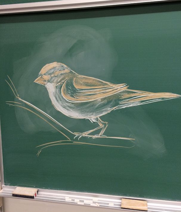 Another gift: this bird is an island.