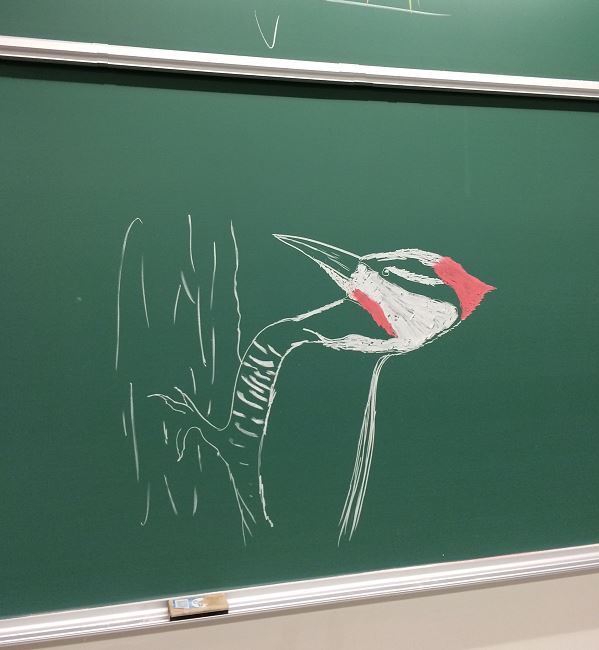 A gift on the chalkboard