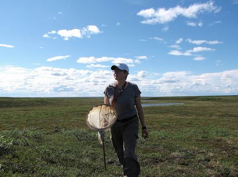 Crystal Ernst, on the tundra.