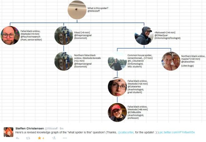 KnowledgeGraph_Spiders