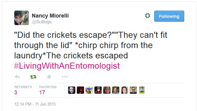 I'm not the only one with a cricket problem.