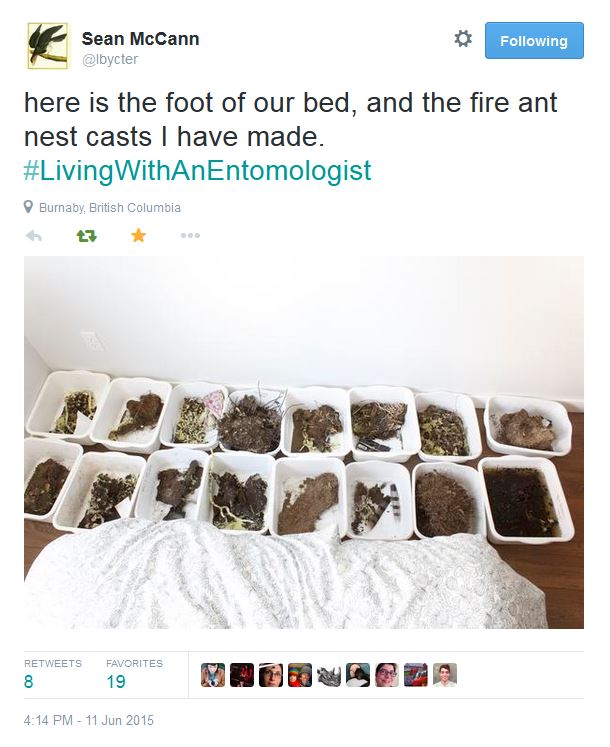 Fire ants at the foot of the bed. Oh my. 