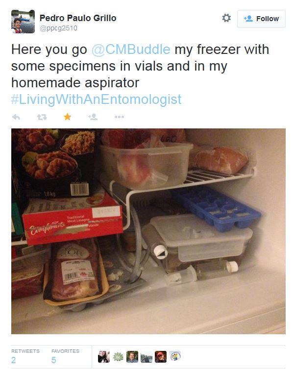 A typical freezer: note the food AND the vials with dead insects.