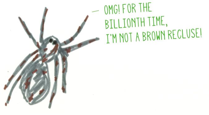 WolfSpider