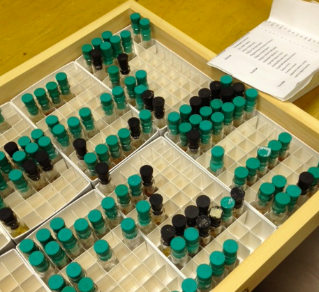 Voucher for critters than need to be stored in liquids looks something like this. 
