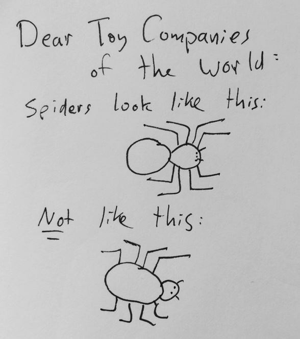 SpiderAnatomy101