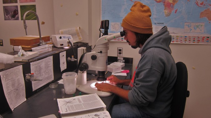 Kamil_Microscope