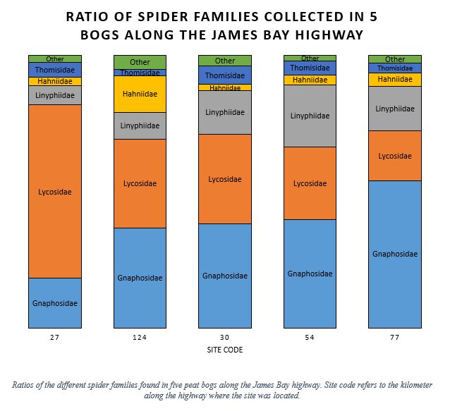 bogSpiders