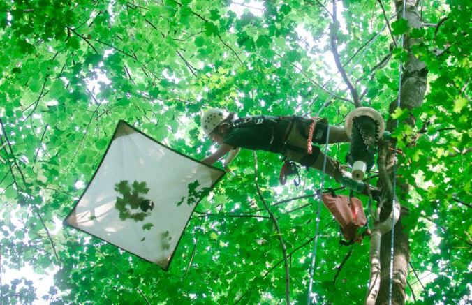 Maguire_Canopy.JPG