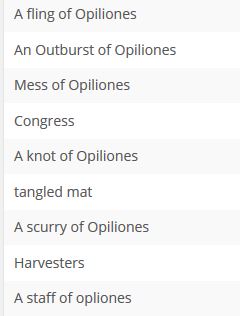PollResults_Other