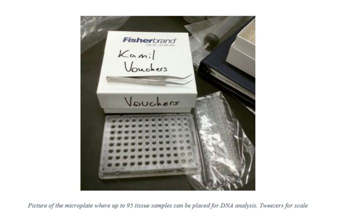 Vouchers